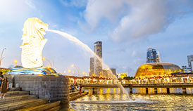 PACIFIC PLUS | 太加海外