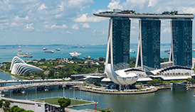 PACIFIC PLUS | 太加海外